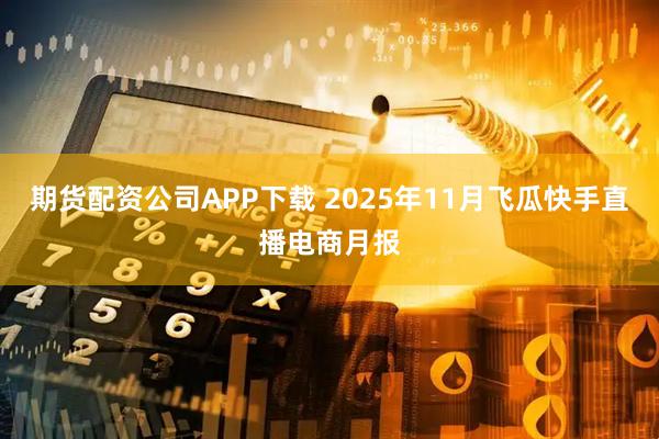 期货配资公司APP下载 2025年11月飞瓜快手直播电商月报