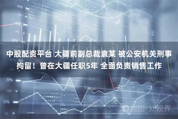 中股配资平台 大疆前副总裁袁某 被公安机关刑事拘留！曾在大疆任职5年 全面负责销售工作