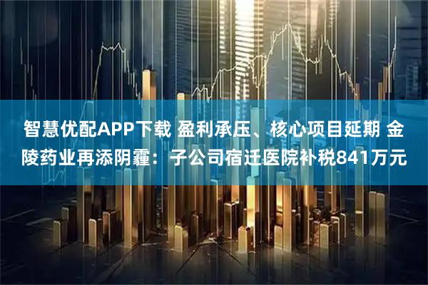 智慧优配APP下载 盈利承压、核心项目延期 金陵药业再添阴霾：子公司宿迁医院补税841万元